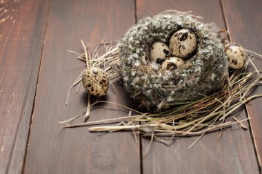 bıldırcın yumurtası eski ahşap arka plan üzerinde bir yuva 