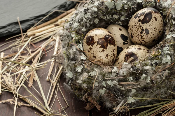 Oeufs de caille dans un nid sur un vieux fond en bois gros plan — Photo
