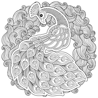 Zentangle tarzında peacock. Yetişkin antistress boyama sayfası.