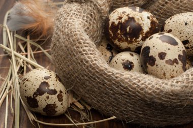 bıldırcın yumurtası çuvala içinde