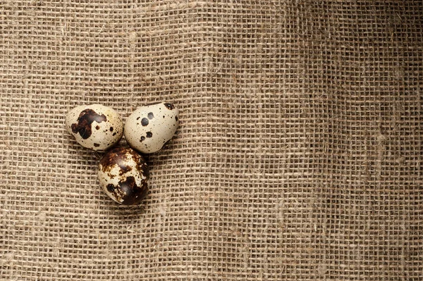 Перепелиные яйца на фоне текстуры мешковины — стоковое фото