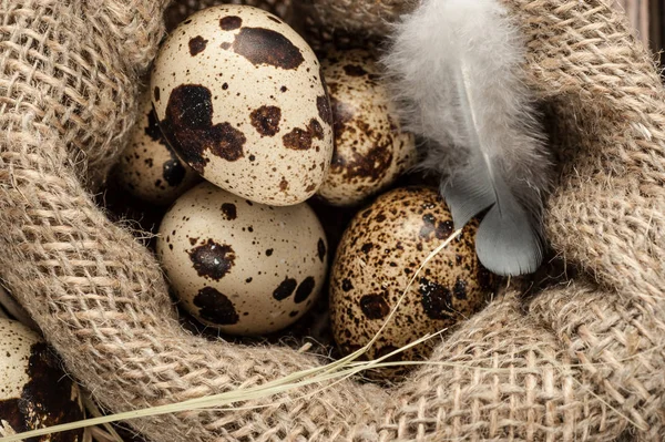 Ορτύκια αυγά σάκο λινάτσα — Φωτογραφία Αρχείου