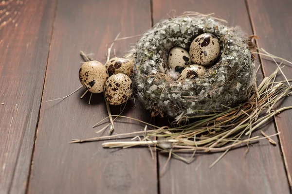 Quail eggs in a nest over old wooden background — Stock Photo, Image