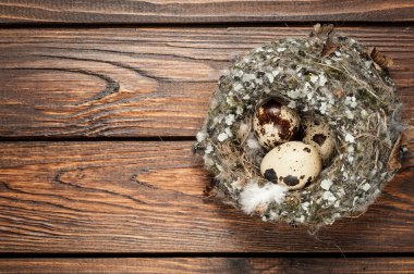 bıldırcın yumurtası eski ahşap arka plan üzerinde bir yuva görünümü top 