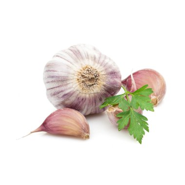 Beyaz arka plan üzerinde izole maydanoz yeşil sarımsak