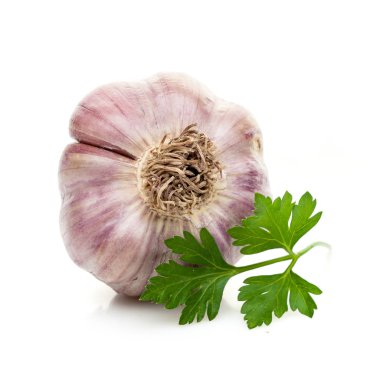 Beyaz arka plan üzerinde izole maydanoz yeşil sarımsak