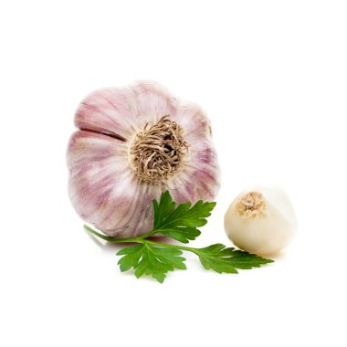 Beyaz arka plan üzerinde izole maydanoz yeşil sarımsak