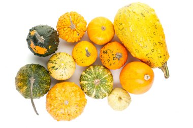 Beyaz arka plan üzerinde izole küçük kabak dizi üst viev