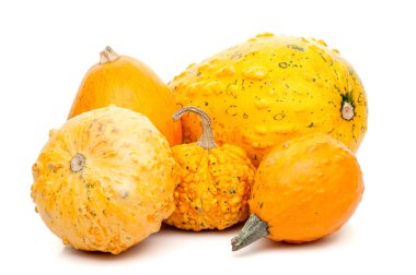 Beyaz arka plan üzerinde izole küçük kabak kümesi