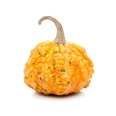 Beyaz arka plan üzerinde izole küçük kabak