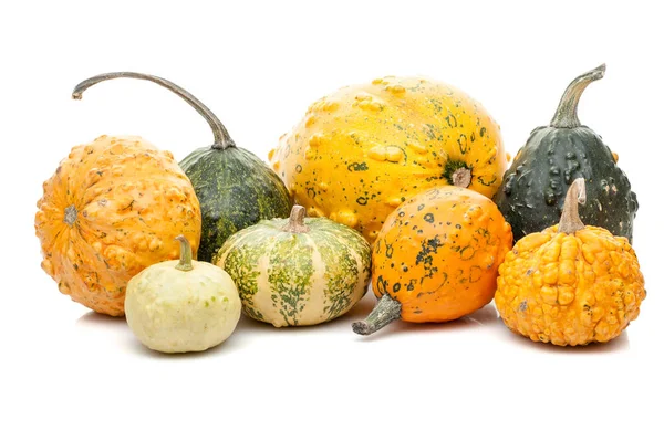 Beyaz arka plan üzerinde izole küçük kabak kümesi