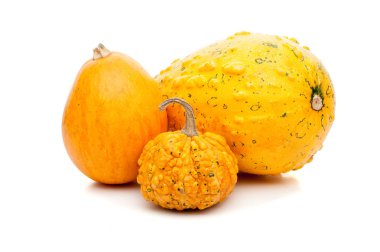 Beyaz arka plan üzerinde izole küçük kabak kümesi