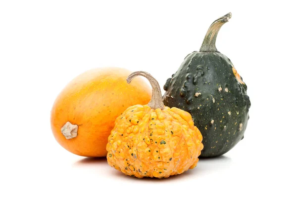 Set of small pumpkins isolated on white background — Stock Photo, Image