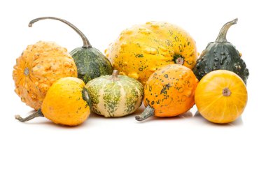 Beyaz arka plan üzerinde izole küçük kabak kümesi