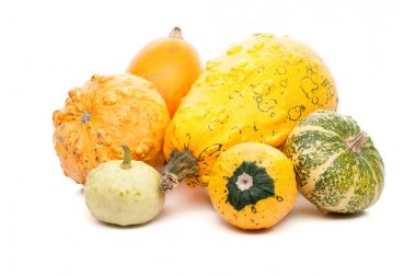 Beyaz arka plan üzerinde izole küçük kabak kümesi