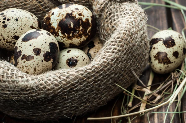çuvala koyu ahşap arka plan üzerinde bıldırcın yumurtası