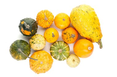 Beyaz arka plan üzerinde izole küçük kabak dizi üst viev