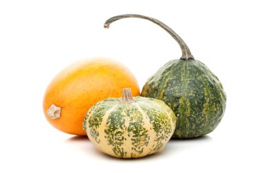 Beyaz arka plan üzerinde izole küçük kabak kümesi