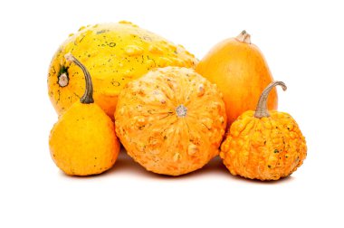 Beyaz arka plan üzerinde izole küçük kabak kümesi