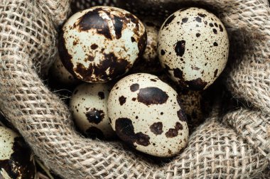 bıldırcın yumurtası çuvala içinde
