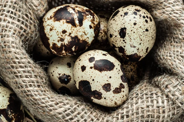 bıldırcın yumurtası çuvala içinde