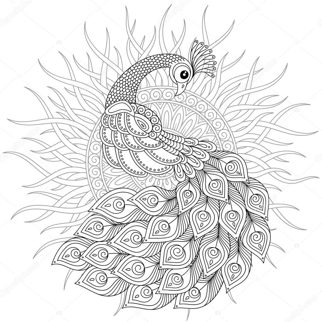 Peacock in zentangle style. Adult antistress coloring page. — Stock