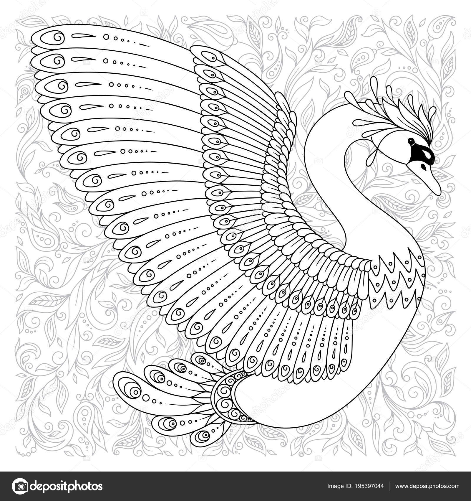Hand drawn decorated swan. Image for adult coloring books, page Stock Vector Image by ©karpenyuk #195397044 Hand drawn decorated swan. Image for adult coloring books, page Stock Vector Image by ©karpenyuk #195397044
