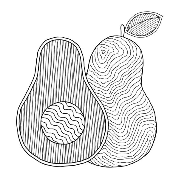 Disegno Avocado Line Art Stampa Animali Libri Colorare Adulti Pagine — Vettoriale Stock