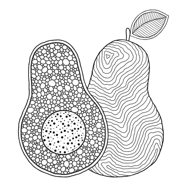 Disegno Avocado Line Art Stampa Animali Libri Colorare Adulti Pagine — Vettoriale Stock