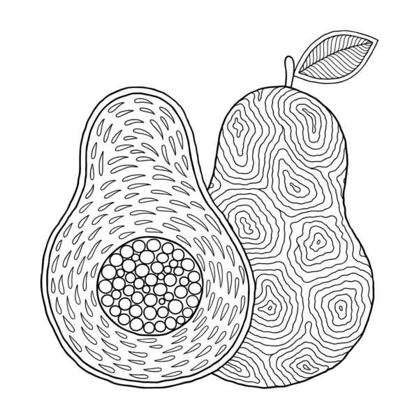 Disegno Avocado Line Art Stampa Animali Libri Colorare Adulti Pagine — Vettoriale Stock