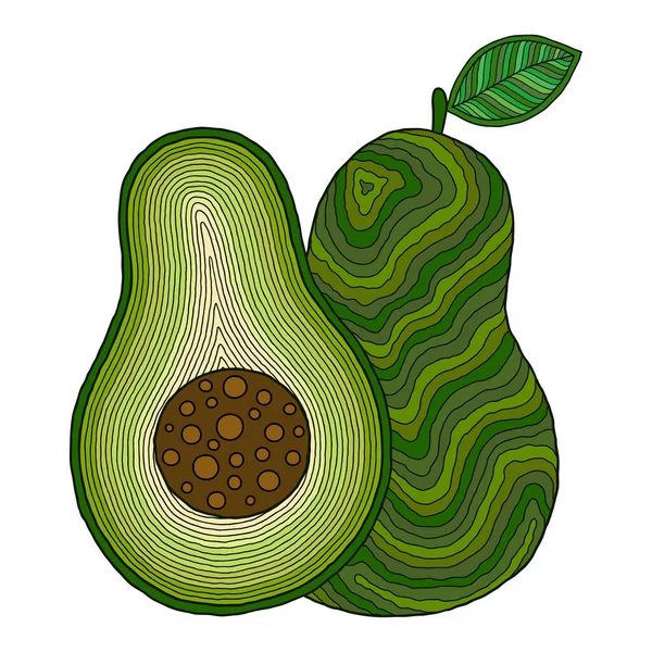 Avocado Doodle Illustrazione Dettagliata Isolato Biglietti Auguri Stampa Shirt — Vettoriale Stock