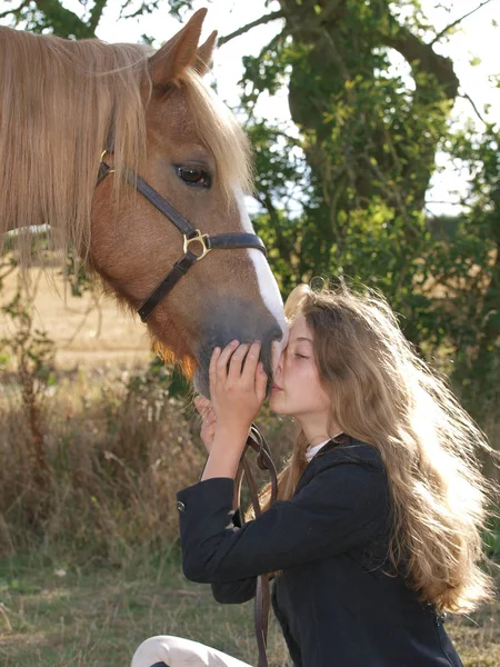 Gadis dan kuda — Stok Foto