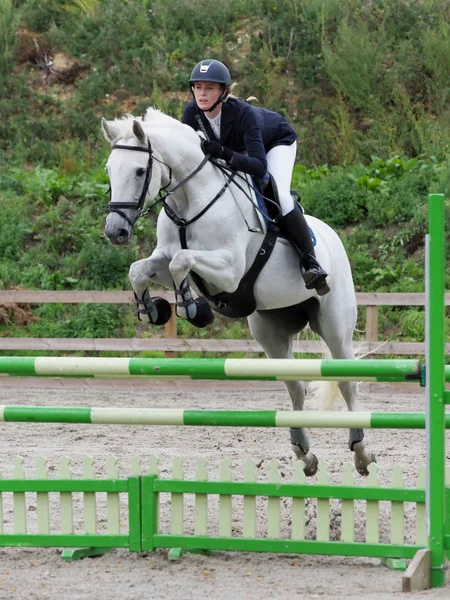 Salto de cavalo — Fotografia de Stock