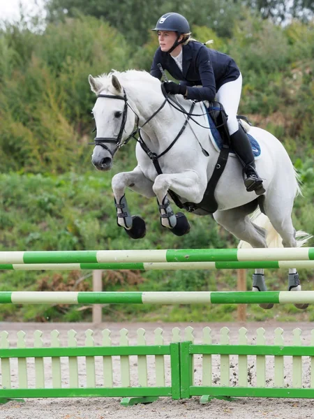 Salto de cavalo — Fotografia de Stock