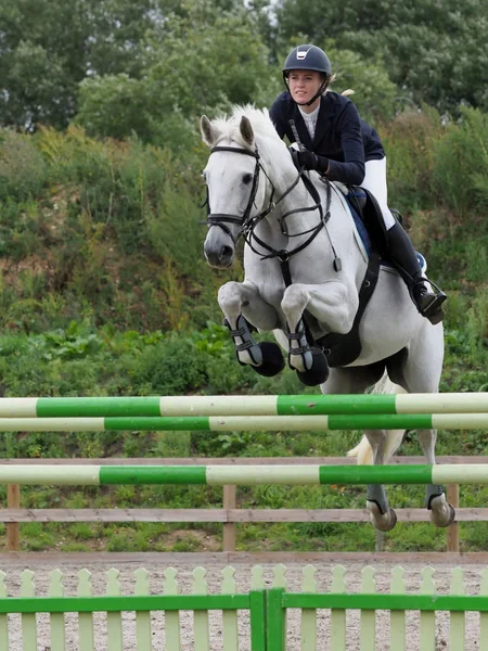 Showjumping кінь — стокове фото