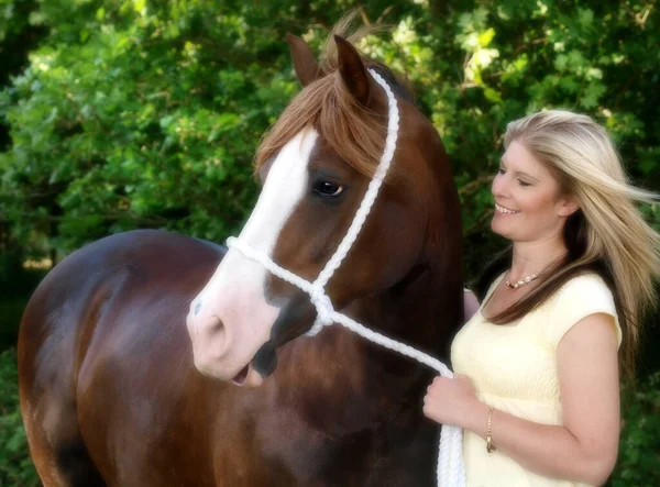 美しい森の中に可愛い若い女性と栗の馬が立っている — ストック写真