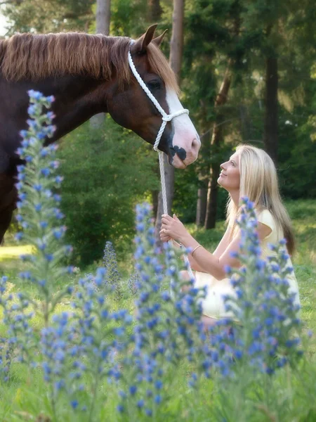 美しい森の中に可愛い若い女性と栗の馬が立っている — ストック写真