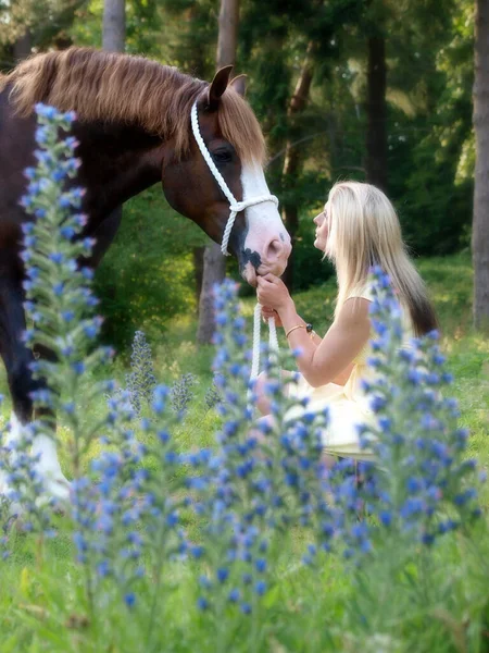 Pretty Young Woman Her Chestnut Horse Stand Beautiful Forest Setting — Stock Photo, Image