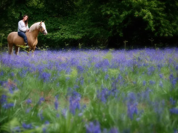 満開の青い鐘の森の中の美しい馬と若い女性 — ストック写真