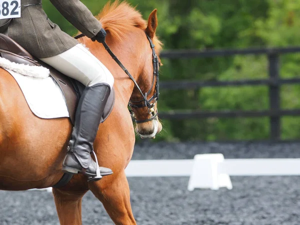 Nahaufnahme Des Beines Eines Reiters Während Einer Dressurprüfung — Stockfoto