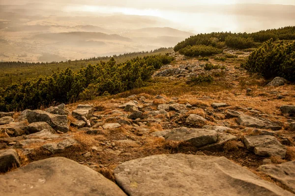 Tatra Hora Příroda Krásná Úžasná — Stock fotografie