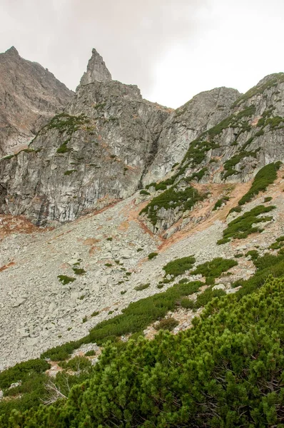 Naturaleza Hermosa Asombrosa — Foto de Stock