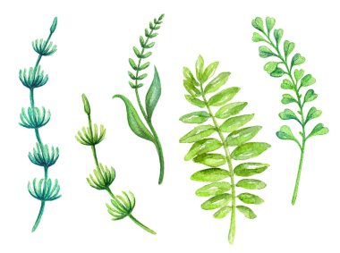 Sulu Boya resimde arka plan