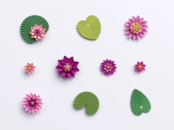 Renderização 3d, flores de lótus de papel, folhas verdes, lírio de água rosa, d — Fotografia de Stock