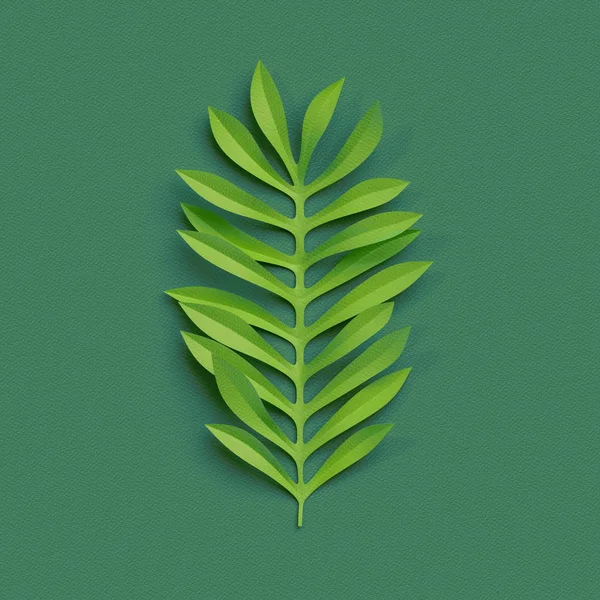 Renderowania 3D, papieru wyciąć wystrój, zielony liść tropikalnych, przebudowanej na białym tle — Zdjęcie stockowe