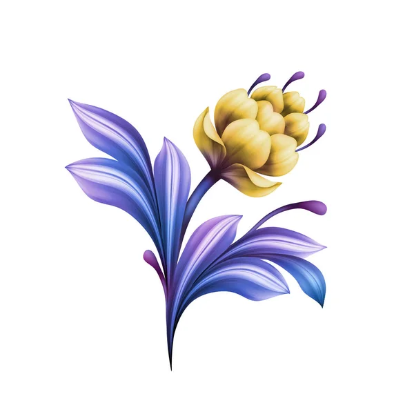 Abstract bloem, botanische illustratie, decoratieve tulp, lelie, gekrulde bladeren, vintage acanthus, clip art geïsoleerd op witte achtergrond — Stockfoto