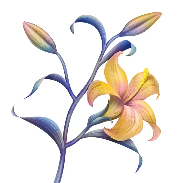 Tropical flower, botanical illustration, decorative lily twig, clip art element isolated on white background — Stock Photo, Image