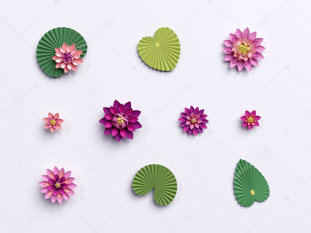 3d render, paper lotus flowers, green leaves, pink water lily, d