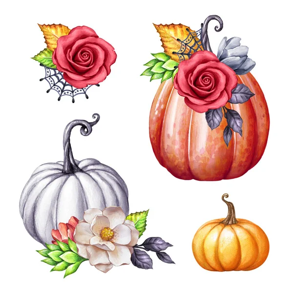 Acuarela calabazas florales, conjunto de ilustración de Halloween, elementos de diseño de otoño, otoño, clip de vacaciones arte aislado sobre fondo blanco —  Fotos de Stock