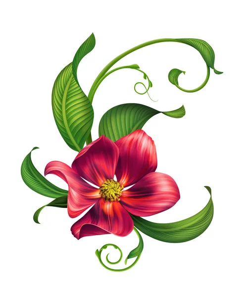 Ilustración botánica, hermosa flor tropical roja y hojas verdes frescas, arreglo floral, clip arte aislado sobre fondo blanco —  Fotos de Stock